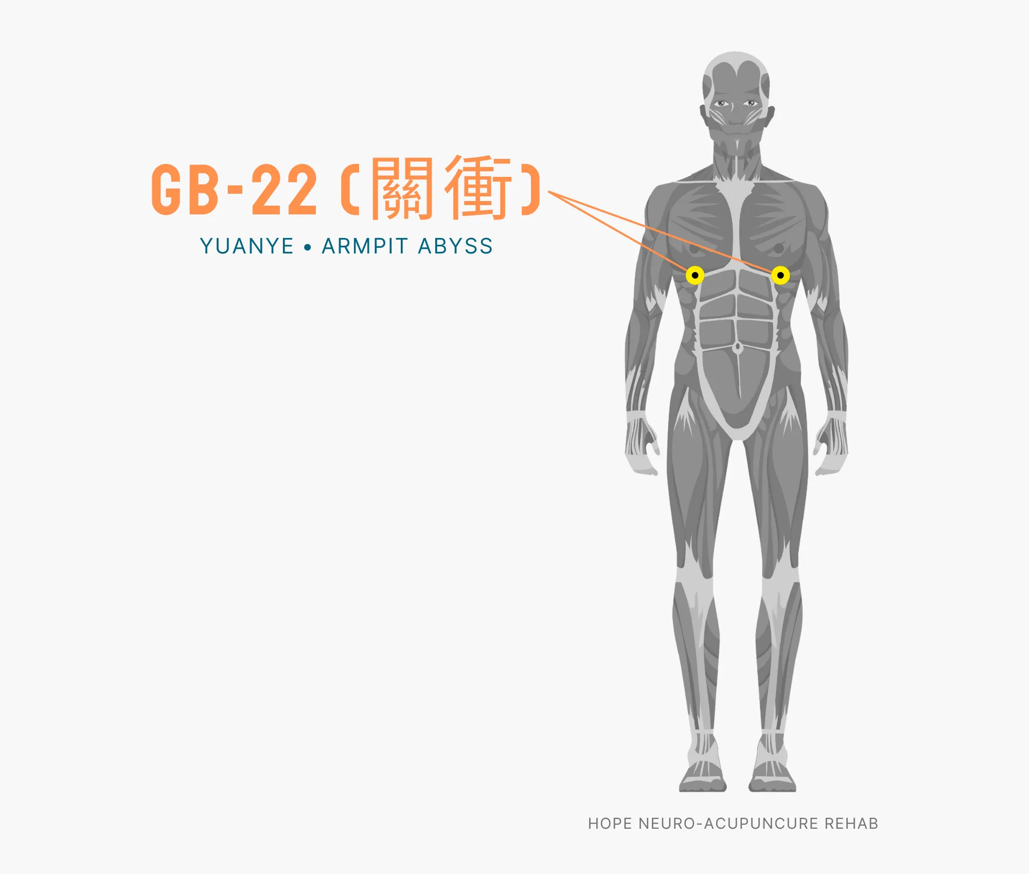 Diagram Showing Where the GB-22 Acupuncture Point (also known as Yuanye or Armpit Abyss) is within the Gallbladder Meridian